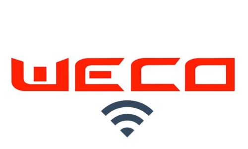 WECO C00542 POWER CABLE Black Cable 25mmq RING Terminal M8/Free|250cm